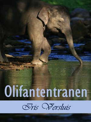 cover image of Olifantentranen